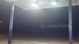 Swarms of Brood XIX cicadas emerge in US southeast