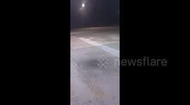 US: Brood XIX Cicadas Emerge In Southeast 2