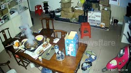 Mouse nearly sparks fire by accidentally triggering induction cooker switch in China