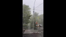 Unusual May snowfall hits Moscow, yellow weather alert issued