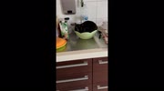 temp