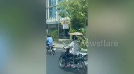 Motorcycle rider carries plants on his head