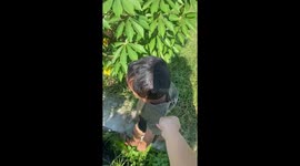 Boy Falls into Small Waterway