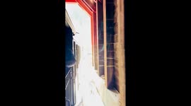 Spectacular solo shot: Alaskan adventure captured by cruise passenger