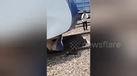 India: A cow came in front of the Vande Bharat Express; the driver applying emergency brakes save the life