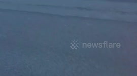 Video captures tornado in Carterville, Illinois