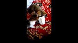 I don't know what they were looking for in that cup lol I'm just astonished