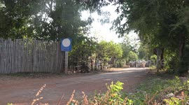 A farmer brings his herd of cows and calves home from grazing in the field all day, at Phetchabun, Thailand.