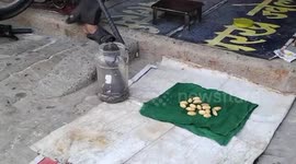 US: Snake catcher astonished as cobra turns out to be pregnant in central India