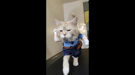 Cat Cop on Pawtrol