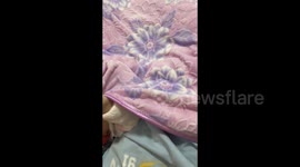 China: Shy Little Baby Seeking Refuge