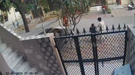 A woman and a child were attacked by a mad dog in Greater Noida