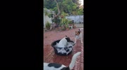 temp