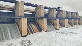 Toxic foam discharged from reservoir engulfs trees and surrounding farmland in southern India