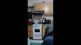 Warmth seeker: Cat's clever stove-side paw warming