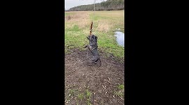 Hilarious Blue Staff Hanging off a Stick by a rope from a tree branch makes funny sounds and spins around