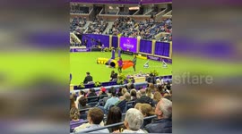 USA: Climate Activists Disrupt Westminster Dog Show