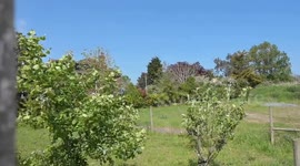 OAP blocked into own garden by chain link fence over bizarre neighbour row