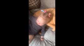 Little girl's artistic journey with her dog as a willing muse