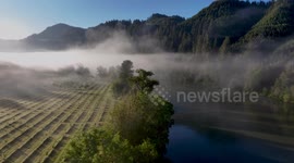 Mesmerizing Views: Capturing the Enchanting Morning Fog in Elkton, Oregon