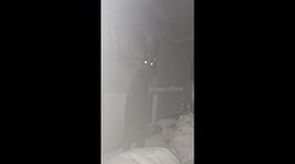 Cat caught in a ghostly stare: video shows spooky encounter in Loughborough