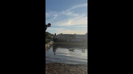 Dog rescue in flooded Canoas, Brazil