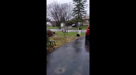 Canadian doggo plays fetch with mail