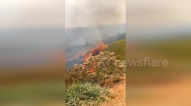 Guatemala: Community Heroes Rally to Suppress Forest Fire Threatening Las Pacayas Village