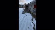 temp
