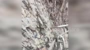 temp