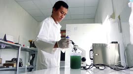 This spirulina production facility is run by a local in small Vietnamese village