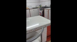 Family in Iquique, Chile, shares hilarious reaction to unexpected houseguest—a rat!