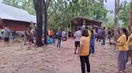 Girl, 3, killed on her birthday when tree uprooted by storm falls on her