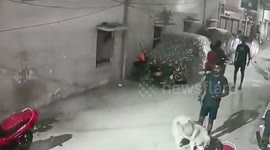 Couple and pet Husky beaten with iron rods 'over dog bite attack' in India