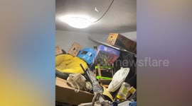 Evil cat appears in boxes to stare at worker in China