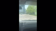temp