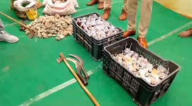 Police seize petrol bombs during search operation in southern India