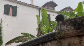 Man dies as floods hit northern Italy due to heavy rain