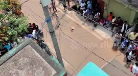 Leopard rescued from abandoned house in eastern India