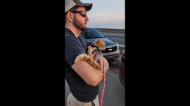 We Took Our Terminally Ill Cat to See a Final Sunset