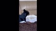 temp