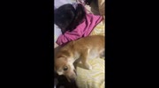 temp