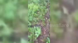 Iran: First Teams Reach Iran President's Helicopter