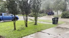 High-Speed Winds Damage Trees in Cypress