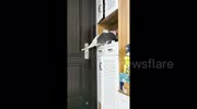 temp