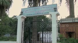 Egypt exports largest quantity of agricultural products in its history in 2023