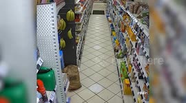 Two Labradors walk into petrol station and steal bread from the shelves