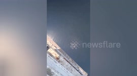 Northern India: Angry her mother's scolding, a student jumped into Gomti river, fishermen saved her life