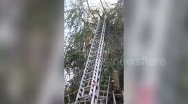 Firefighters rescue man trapped in tall tree in western India