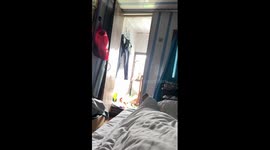 Resident woken up by monkey reaching through window